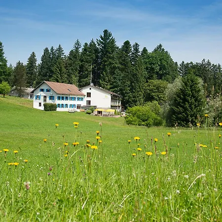 Berger's Bergsicht By Edita