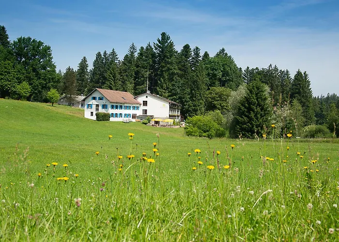 Berger's Bergsicht By Edita