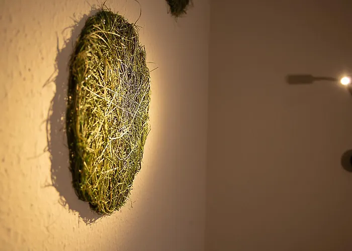 Bed and Breakfast Berger's Bergsicht By Edita Scheidegg