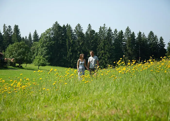 Bed and breakfast Berger's Bergsicht By Edita 3*